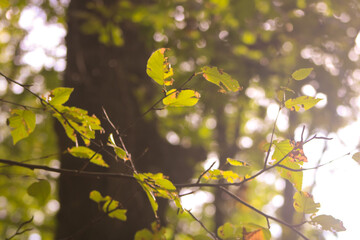 The beauty of nature and life...