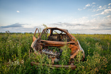 A burned four door automibile abandoned in tall summer foliage in a countryside landscape