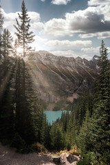 Sunlight shining on pine forest with lake louise at banff national park