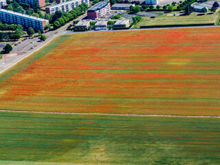 vue aérienne d'un champ de coquelicot à Aubergenville dans les Yvelines en France