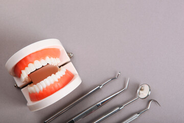 model of teeth and dental instruments and dental care products on colored background