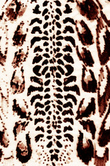 leopard print background
