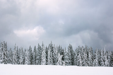 Winter im Riesengebirge bei Pec pod Snezkou, Tschechien