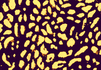 leopard skin texture
