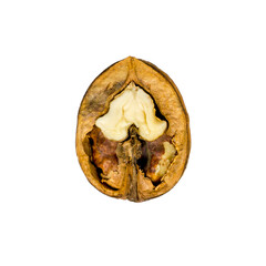 Walnut close-up on a white isolated background.