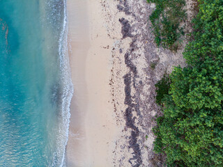 Fototapeta na wymiar Drone of beach waves crashing on sand with palm trees
