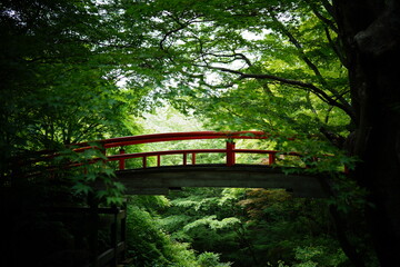 和の橋
