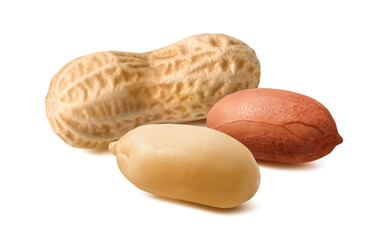 Raw peanuts in shells and skins isolated on white background.