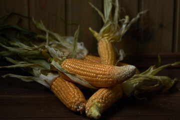 
Harvest corn on wooden background