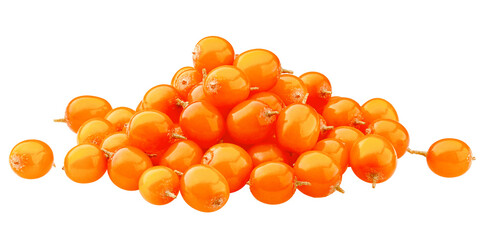 Sea buckthorn isolated on white background, clipping path, full depth of field