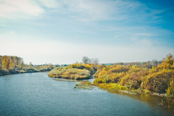The river surrounded by trees 