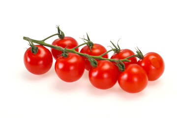 Ripe tomatoes on the branch