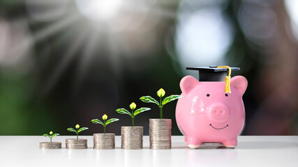 Growing plant on coin pile and graduate hat placed on piggy bank on blurred green nature background...