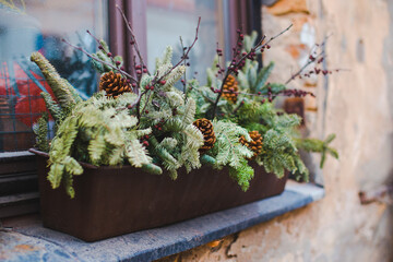 pines decoration in the street in city