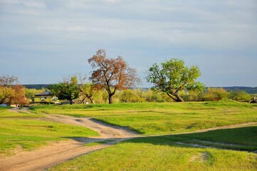 landscape with trees