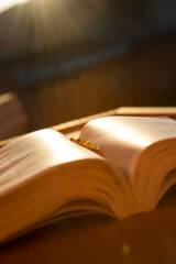 Love protected by God
