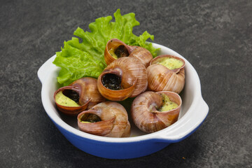 French cuisine - Escargot with sauce