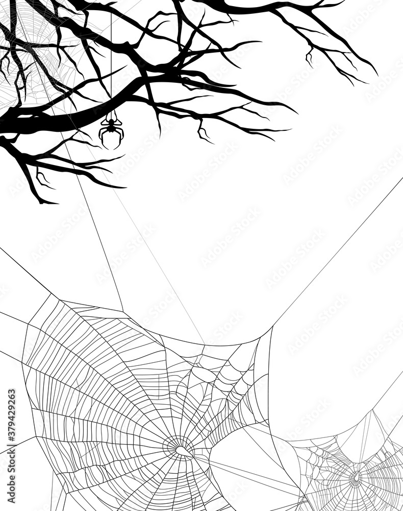 Canvas Prints bare tree branches and spider web - black and white halloween theme vector background