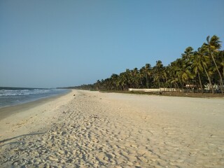 a walk on the beach with palm trees