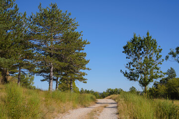 chemin dans la campagne, Larzac