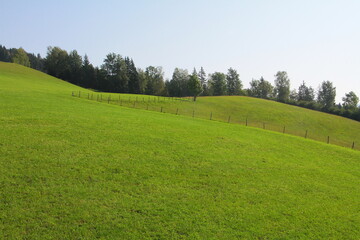 wiesen