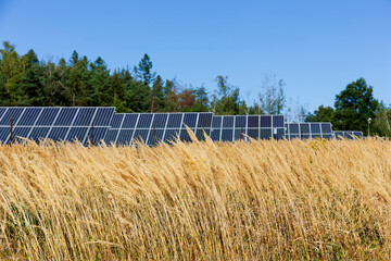 Detail of the Solar Power Station in the late summer  Nature