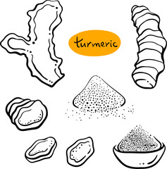 Turmeric, curcuma. Roots and slices. Black line sketch collection of herbs and spices isolated on white background. Doodle hand drawn healthy food icons. Vector illustration
