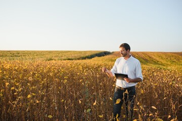 Young farmer in soybean fields
