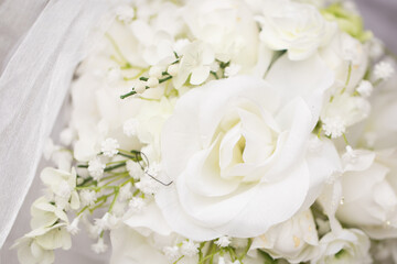 Obraz na płótnie Canvas close up of white bridal bouquet