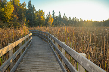 Obraz premium wooden bridge in autumn
