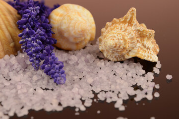 sea salt and lavender