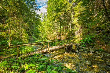 Mountain landscape in the Juranova dolina - valley in The Western Tatras, the Tatra National Park, Slovakia, Europe. © Viliam