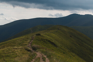 Fototapeta premium scenic Carpathians mountains and hills in the nice weather in summer