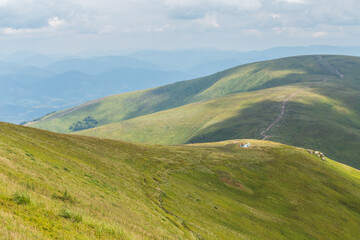 Fototapeta premium scenic Carpathians mountains and hills in the nice weather in summer