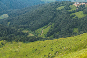 scenic Carpathians mountains and hills in the nice weather in summer