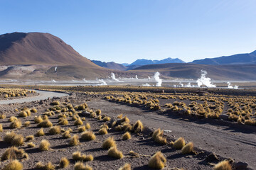 A geyser area landscape view