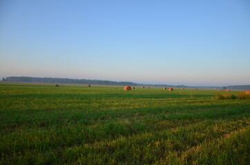 Fototapeta na wymiar Haystacks rolls of hay in the Moscow region