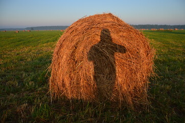Haystacks rolls of hay in the Moscow region