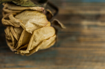 Dried rose on old vintage wood plates