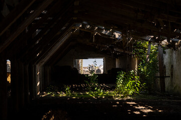 Fototapeta na wymiar old abandoned house. An abandoned farmhouse, an old, leaky roof, a column of wooden beams. Trees grow inside the building. 