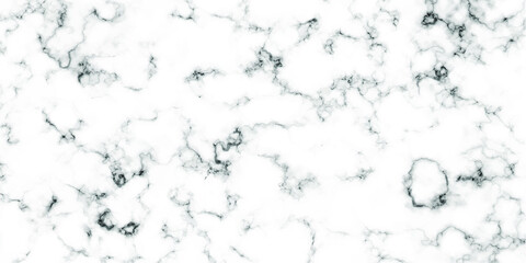 marble texture on white background. black, gray, stone texture. vector background