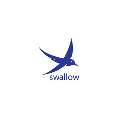 swallow bird logo flying color design vector illustration