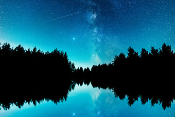 Silhouette of fir trees and reflection and beautiful starry sky with bright milky way galaxy. Night...
