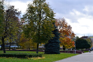 autumn in the park