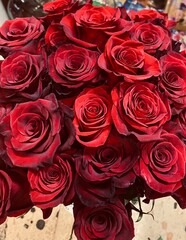 bouquet of red roses