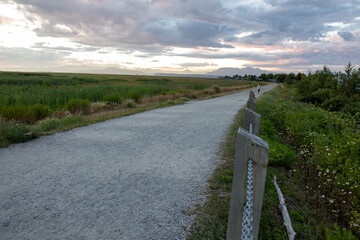 bridge over the river