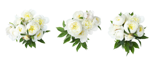 Set of beautiful peonies on white background. Bright bouquets