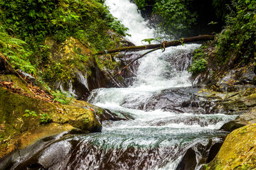 waterfall in the forest