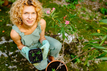 Top view of hands unrecognizable woman with tree pots different grow oleander pot in backyard...