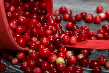 An overturned basket of cranberries. The berries were scattered over the surface of the planks with a wooden structure.